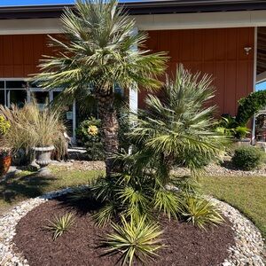 Meet your Posher, Evelyn